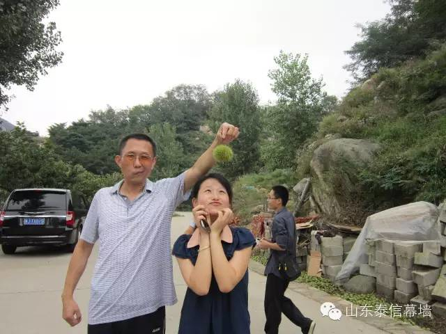 【泰信幕墻】徂徠山國家森林公園一日游